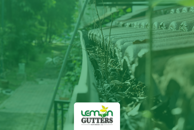 Gutter Cleaning - Lemon Gutters