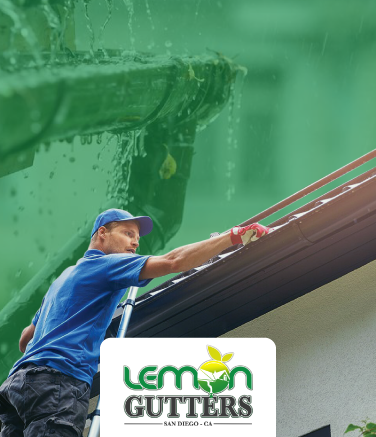 Gutter Installation, Gutter Repair, Gutter Replacement, Gutter Cleaning